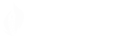 Centre for Public Dialogue 